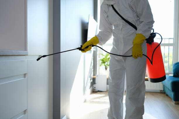 Best Bathroom Mold Remediation in Attleboro, MA