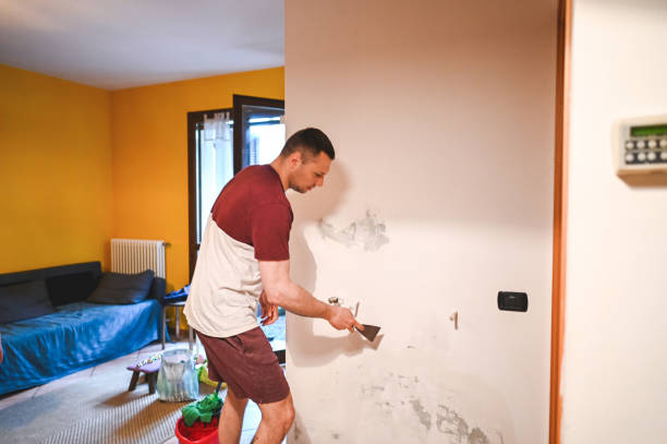 Reliable Attleboro, MA Mold Remediation Solutions